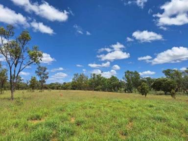 Commercial Farming For Sale - QLD - Jericho - 4728 - FOR SALE: Safe breeding block - Speculation: 24,923 ha/61,586 acres (Image 2)