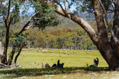 Mixed Farming For Sale - VIC - Maldon - 3463 - Expansive Rural Escape with Panoramic Views  (Image 2)