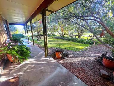 Lifestyle For Sale - NSW - Quirindi - 2343 - EXCEPTIONAL RURAL LIFESTYLE PROPERTY IN IDEAL LOCATION  (Image 2)
