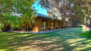 Lifestyle For Sale - NSW - Quirindi - 2343 - EXCEPTIONAL RURAL LIFESTYLE PROPERTY IN IDEAL LOCATION  (Image 2)