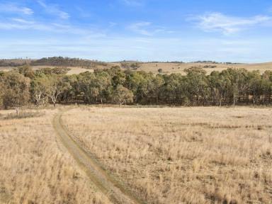 Lifestyle For Sale - VIC - Seymour - 3660 - BUILD YOUR FUTURE - PLANNING PERMIT FOR HOUSE  (Image 2)