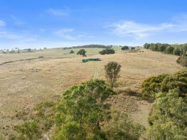 Lifestyle For Sale - VIC - Seymour - 3660 - BUILD YOUR FUTURE - PLANNING PERMIT FOR HOUSE  (Image 2)