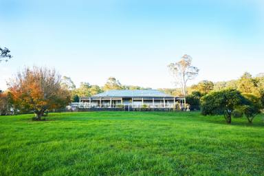 Acreage/Semi-rural For Sale - NSW - Dungog - 2420 - Country Lifestyle That Has Everything! 564 Chichester Dam Road, Bendolba (Via Dungog)  (Image 2)
