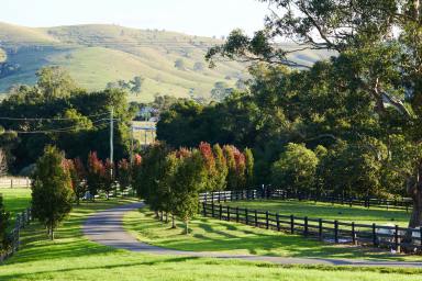 Acreage/Semi-rural For Sale - NSW - Dungog - 2420 - Country Lifestyle That Has Everything! 564 Chichester Dam Road, Bendolba (Via Dungog)  (Image 2)