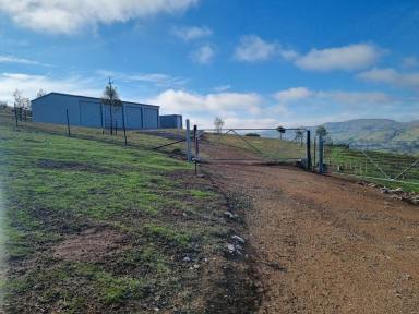 Residential Block For Sale - NSW - Gundagai - 2722 - Panoramic Views  (Image 2)