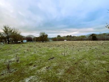 Residential Block For Sale - NSW - Coolac - 2727 - Vacant land in the village of Coolac  (Image 2)