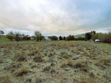 Residential Block For Sale - NSW - Coolac - 2727 - Vacant land in the village of Coolac  (Image 2)