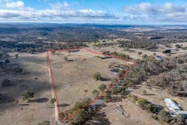 Other (Rural) For Sale - NSW - Mummel - 2580 - "Lifestyle Opportunity with Dwelling Entitlement"  (Image 2)