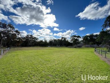 Acreage/Semi-rural For Sale - NSW - Inverell - 2360 - A Slice of Country Life on 6,741m²  (Image 2)
