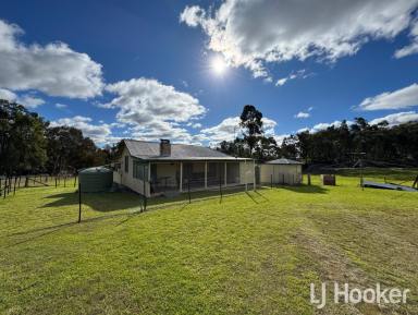 Acreage/Semi-rural For Sale - NSW - Inverell - 2360 - A Slice of Country Life on 6,741m²  (Image 2)