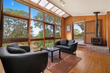 House For Sale - NSW - Eastwood - 2122 - Eastwood 3 storey 8 bedroom house with DA approved for a new house  (Image 2)
