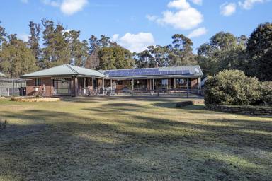 House For Sale - TAS - York Town - 7270 - A Tamar Valley Lifestyle!  (Image 2)