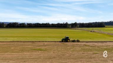 Other (Rural) For Sale - NSW - Long Point - 2330 - "The Old Crossing"  (Image 2)