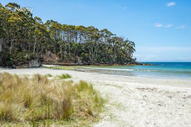 Residential Block For Sale - TAS - Adventure Bay - 7150 - Prime Coastal Parcel in Iconic Adventure Bay  (Image 2)
