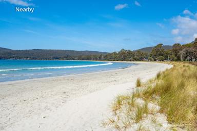 Residential Block For Sale - TAS - Adventure Bay - 7150 - Prime Coastal Parcel in Iconic Adventure Bay  (Image 2)