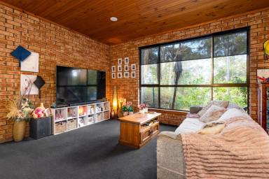 House For Sale - NSW - Surf Beach - 2536 - Great Investment Opportunity  (Image 2)