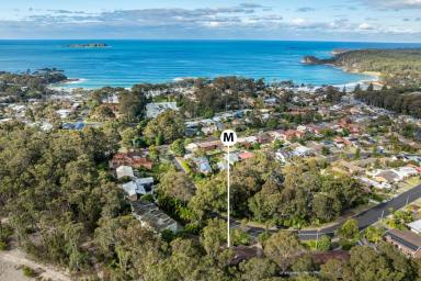 House For Sale - NSW - Surf Beach - 2536 - Great Investment Opportunity  (Image 2)