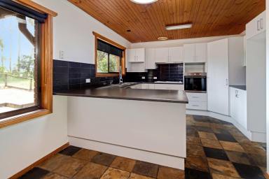 House For Sale - NSW - Surf Beach - 2536 - Great Investment Opportunity  (Image 2)