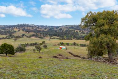 Lifestyle Auction - NSW - Crookwell - 2583 - Your slice of the countryside!  (Image 2)