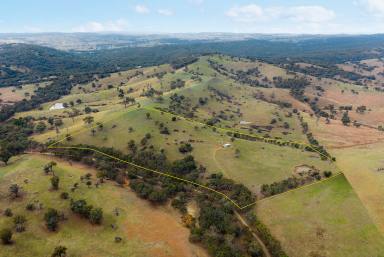 Lifestyle Auction - NSW - Crookwell - 2583 - Your slice of the countryside!  (Image 2)