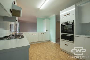 House Leased - NSW - Glen Innes - 2370 - For Rent – Modern 3-Bedroom Home in Peaceful Glen Innes Location  (Image 2)