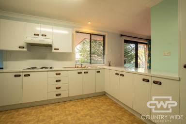 House Leased - NSW - Glen Innes - 2370 - For Rent – Modern 3-Bedroom Home in Peaceful Glen Innes Location  (Image 2)