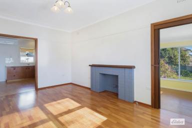 House For Sale - NSW - Bega - 2550 - Neat & Sunny Charmer  (Image 2)