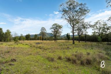 Other (Rural) For Sale - NSW - Bulga - 2330 - Potential filled lifestyle building block – 13.4 Ha (33 Acres)  (Image 2)