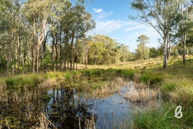 Other (Rural) For Sale - NSW - Bulga - 2330 - Potential filled lifestyle building block – 13.4 Ha (33 Acres)  (Image 2)