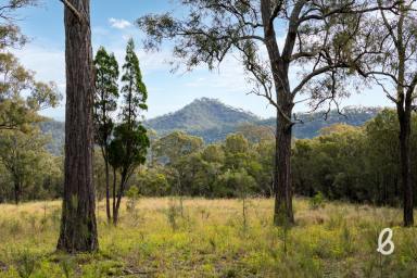 Other (Rural) For Sale - NSW - Bulga - 2330 - Potential filled lifestyle building block – 13.4 Ha (33 Acres)  (Image 2)