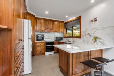 House For Sale - TAS - Newnham - 7248 - Stunning Family Home, 3 bedrooms plus large Rumpus that doubles as a garage  (Image 2)
