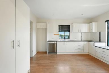 House For Lease - TAS - Lutana - 7009 - Modern Comfort in Prime Location  (Image 2)