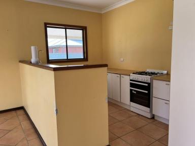 House For Lease - NSW - Lightning Ridge - 2834 - 54 Nettleton Drive, Lightning Ridge  (Image 2)