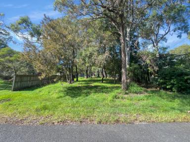Residential Block For Sale - QLD - Macleay Island - 4184 - Prime Location! Water Views & Steps from the Shore  (Image 2)
