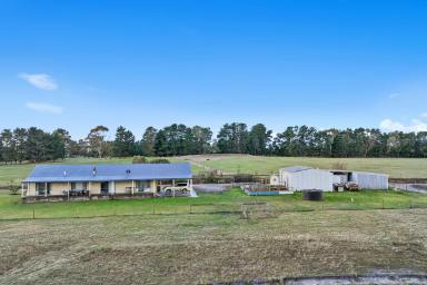 Horticulture For Sale - VIC - Lang Lang - 3984 - Endless Opportunity on 30 acres.  (Image 2)