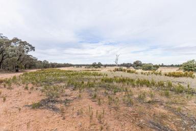 Mixed Farming For Sale - NSW - Mimosa - 2666 - "Keystone" NATURE MEETS NURTURE  (Image 2)