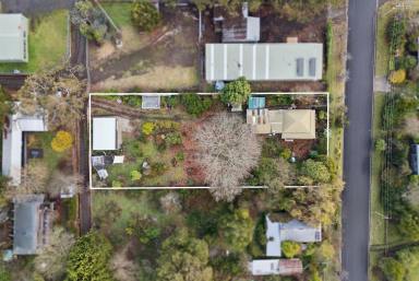 House For Sale - VIC - Forrest - 3236 - COAST MEETS COUNTRY - YOUR NEXT PROJECT  (Image 2)