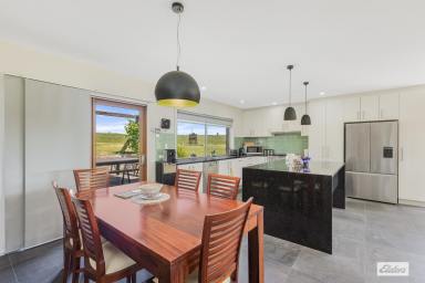 Acreage/Semi-rural For Sale - NSW - Tantawangalo - 2550 - UNIQUE Home on 14 Acres – Craftsman Built with Creek Access  (Image 2)