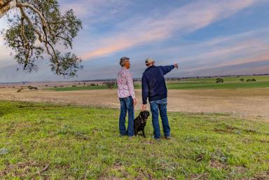 Lifestyle Sold - NSW - Boorowa - 2586 - Proven Productive Riverfront Package  (Image 2)