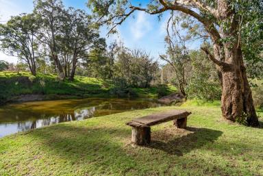 House For Sale - WA - Nannup - 6275 - 4 x 3 country home on 100m of Blackwood River frontage  (Image 2)