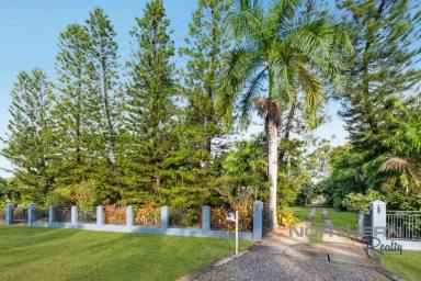 House For Sale - QLD - Deeragun - 4818 - Your New Family Home Awaits on 5,539m2  (Image 2)