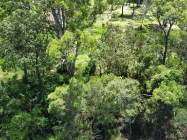 Residential Block For Sale - QLD - Macleay Island - 4184 - Prime Real Estate Opportunity!  (Image 2)