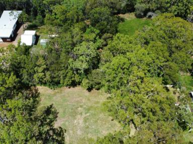 Residential Block For Sale - QLD - Macleay Island - 4184 - Prime Real Estate Opportunity!  (Image 2)