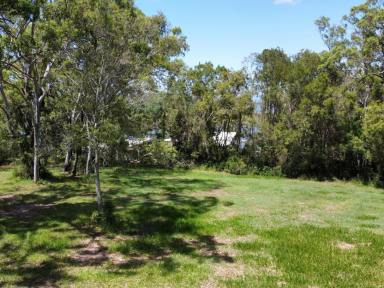 Residential Block For Sale - QLD - Macleay Island - 4184 - Prime Land Opportunity in a Highly Sought-After Locale!  (Image 2)
