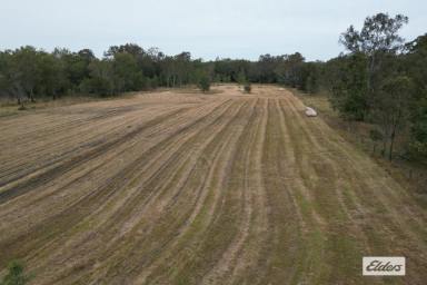 Residential Block For Sale - QLD - Calvert - 4340 - Just over 23 Acres of Quality Land.  (Image 2)