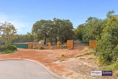 Residential Block For Sale - WA - Lesmurdie - 6076 - Adjoining National Park - Your Dream Awaits!  (Image 2)