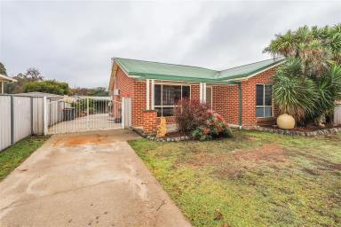 House For Sale - NSW - Tumut - 2720 - Great Family Home  (Image 2)