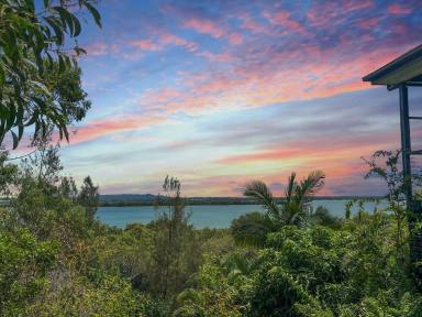 Residential Block For Sale - QLD - Macleay Island - 4184 - Waterfront – 1411m²  (Image 2)
