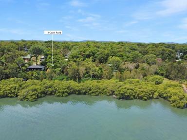 Residential Block For Sale - QLD - Macleay Island - 4184 - Waterfront – 1411m²  (Image 2)