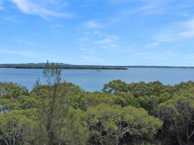 Residential Block For Sale - QLD - Macleay Island - 4184 - Waterfront – 1411m² (Image 2)